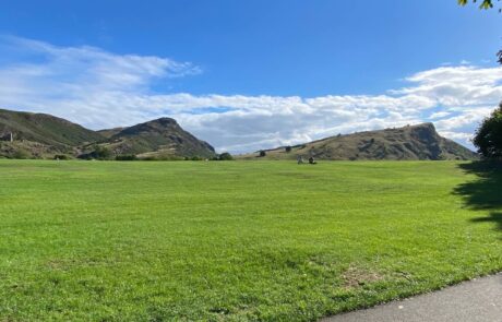 Vibrant Green Lawn in Holyrood Park