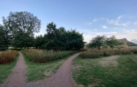 Serene Pathways in Holyrood Park